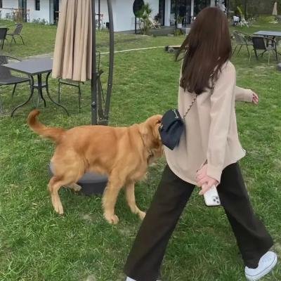 力王之真正敌人